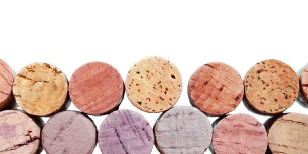 Tarli del legno consigli pratici per una casa senza infestazioni